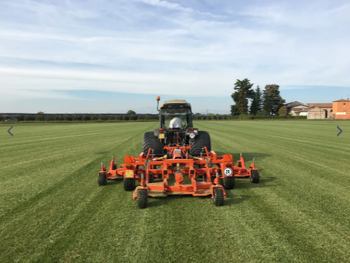 BEFCO Cyclone Super-Flex Gang Grooming Mowers