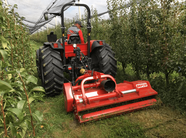 BEFCO Destroyer D90 Flail Shredder - Graneer